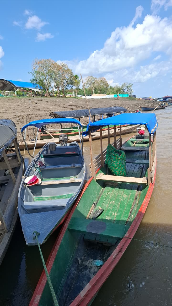 Embarcaciones de transporte fluvial junto a la orilla de un río amazónico